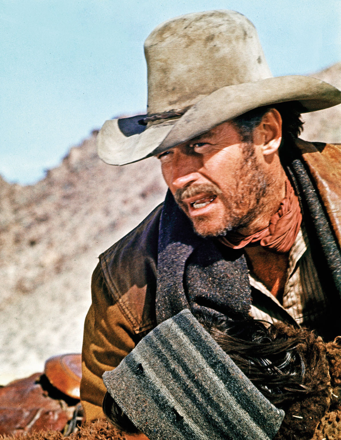 Cow-Boy the Movie added a new photo. - Cow-Boy the Movie