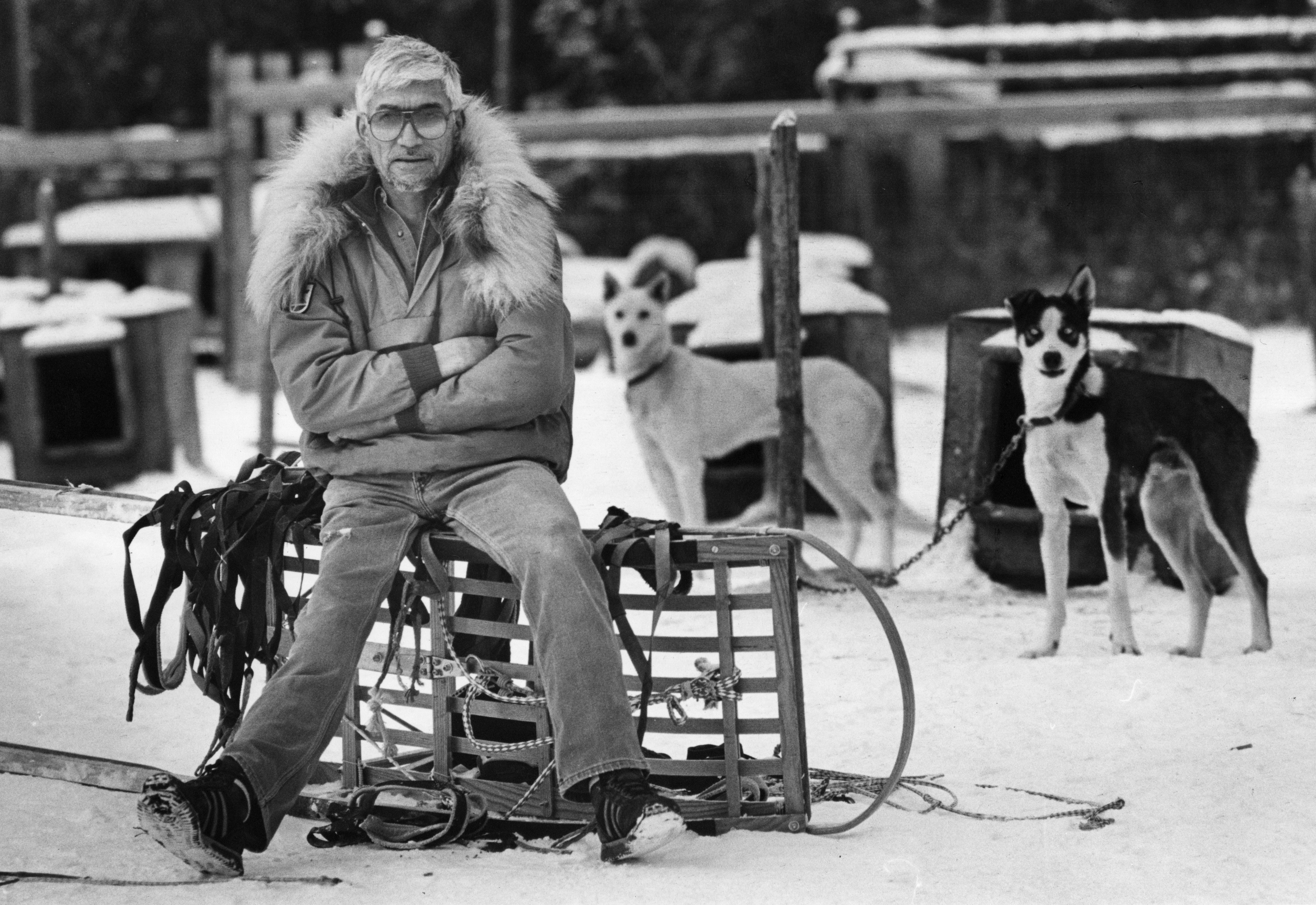 George Attla in his dog lot at his North Pole home in 1988. Photography: Jim Lavrakas/Anchorage Daily News