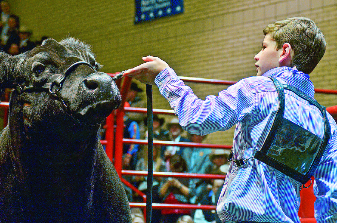 Photography: Courtesy Fort Worth Stock Show Syndicate