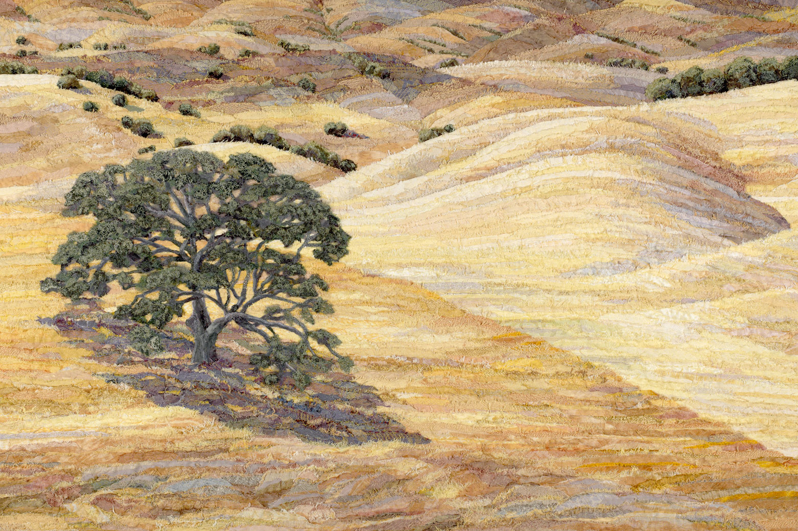 <em>Foothills</em>.