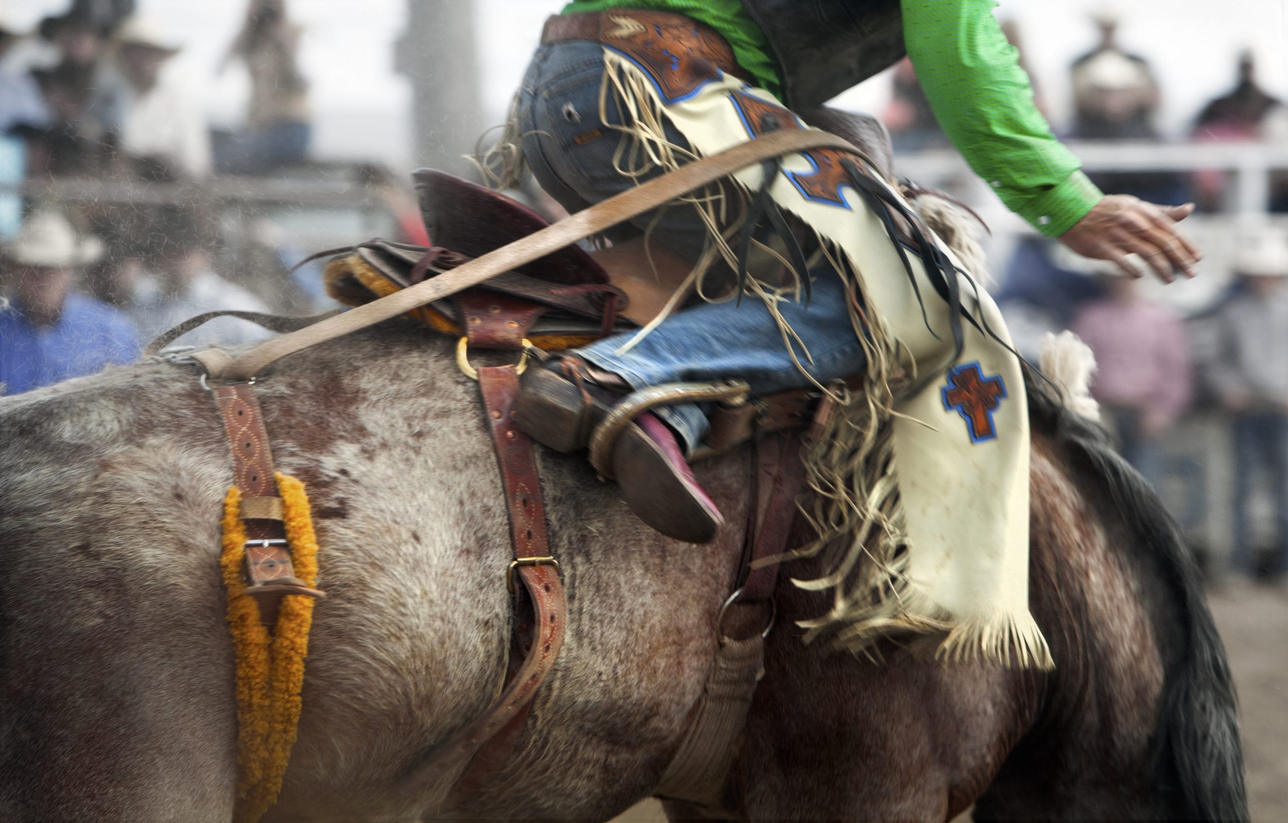 The Miles City Bucking Horse Sale C&I Magazine