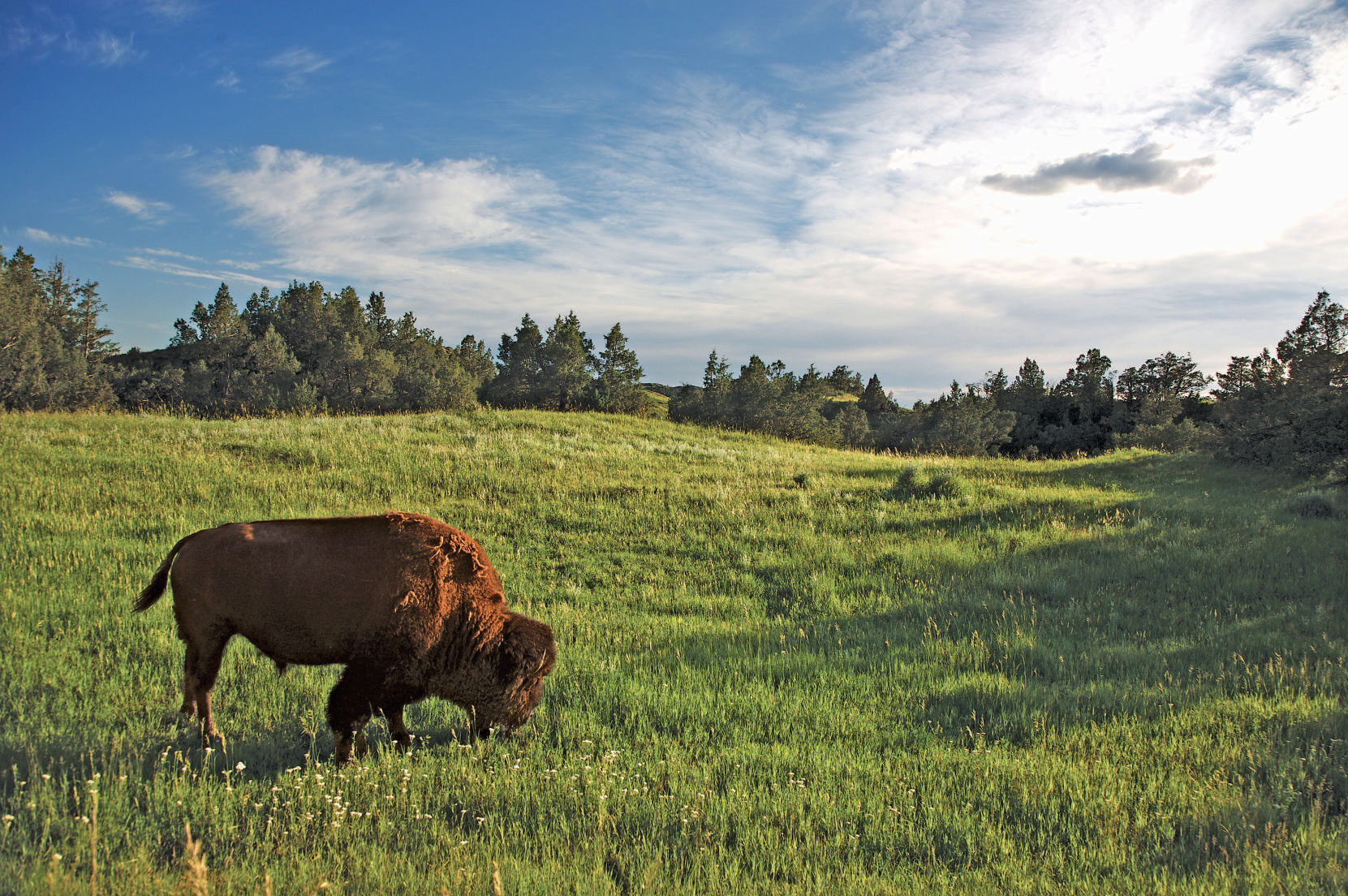 Photography: Courtesy Theodore Roosevelt Medora Foundation