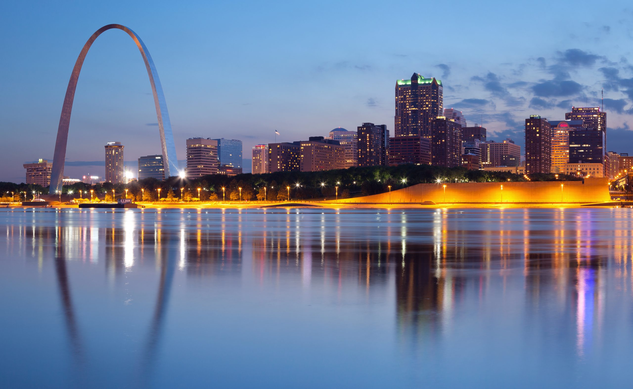 St. Louis Skyline  City art, St louis art museum, Saint louis arch