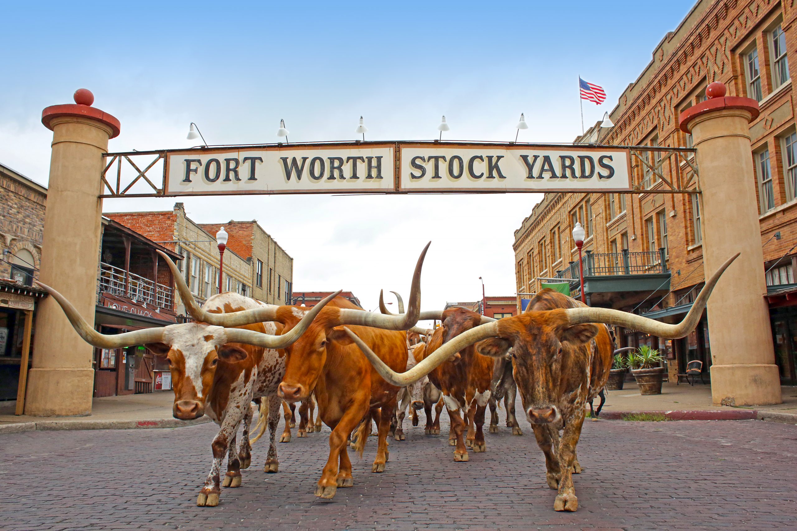 Your Fort Worth Stockyards Travel Guide - Cowboy Lifestyle Network