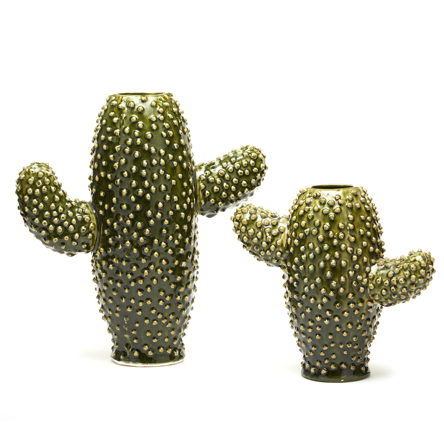 Cactus Garden Sculptured Vase Giveaway C&I Magazine