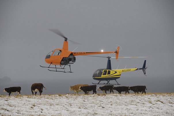 Bering Pacific Ranches