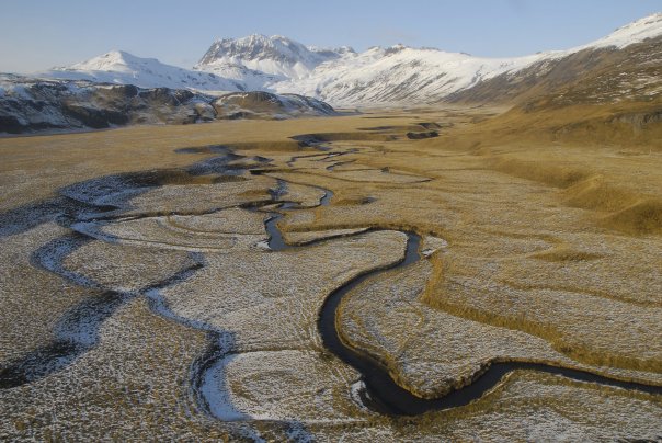 Bering Pacific Ranches