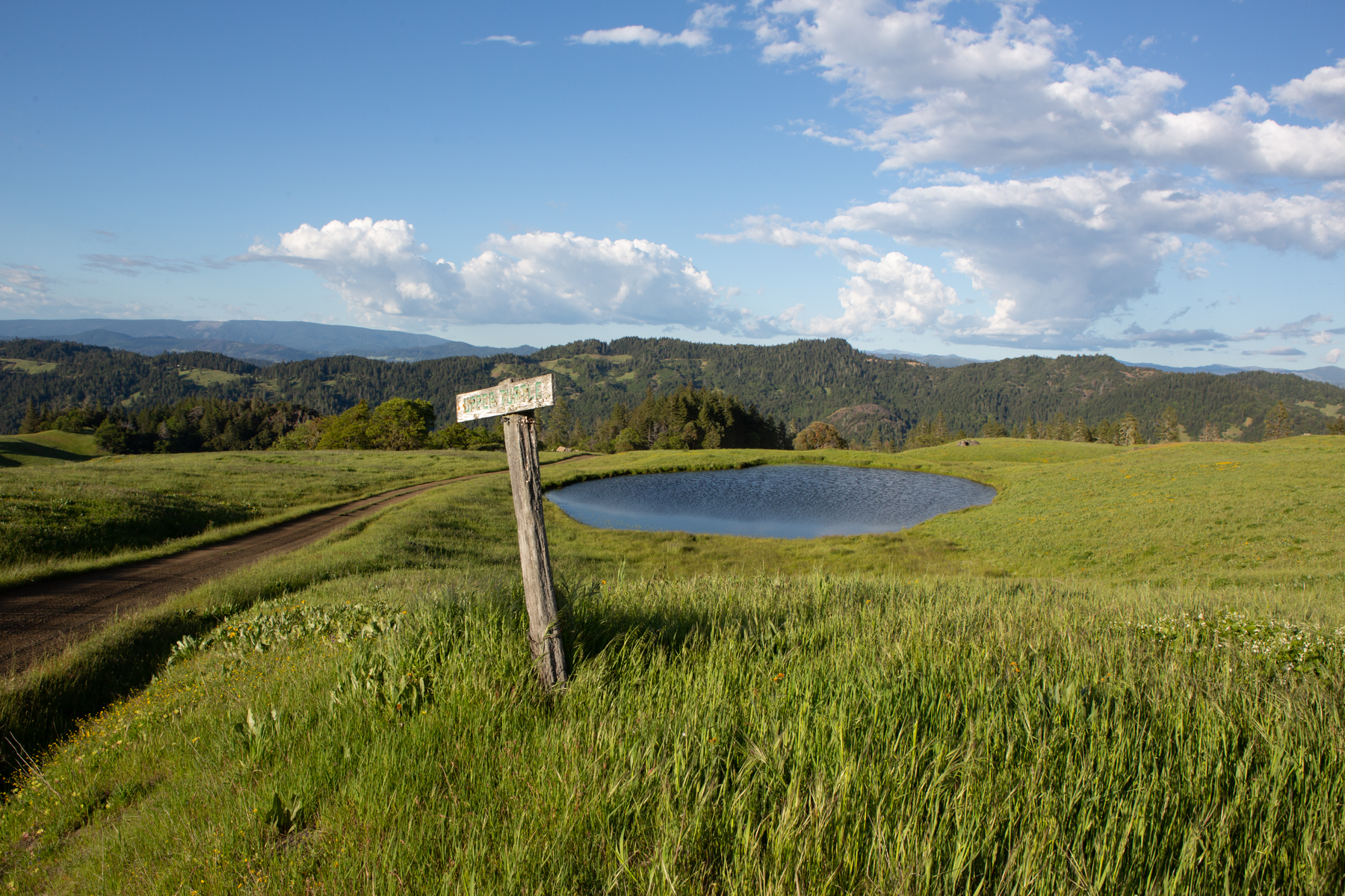 Lone Pine Ranch