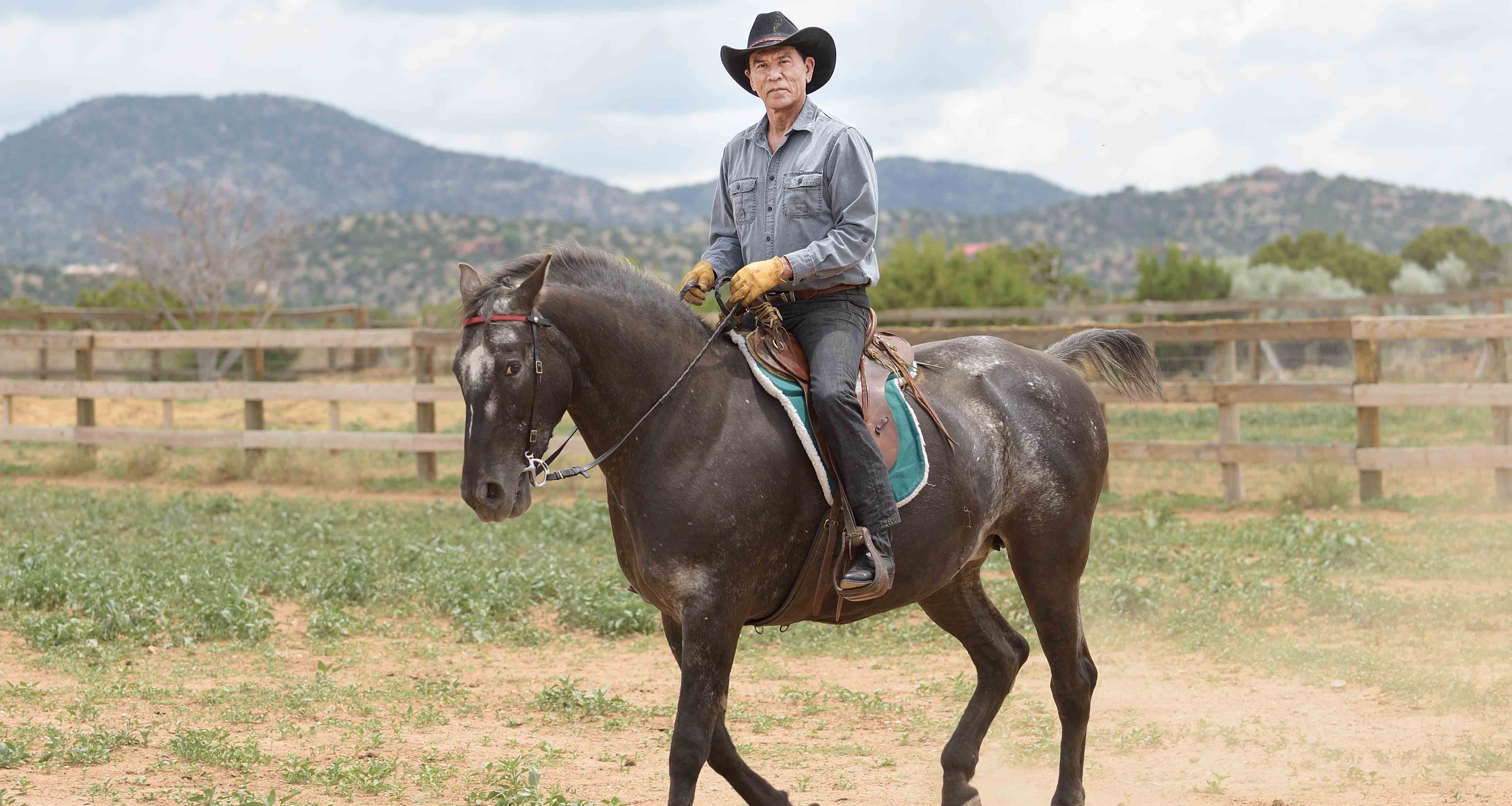 Guy saddles and feeds gal