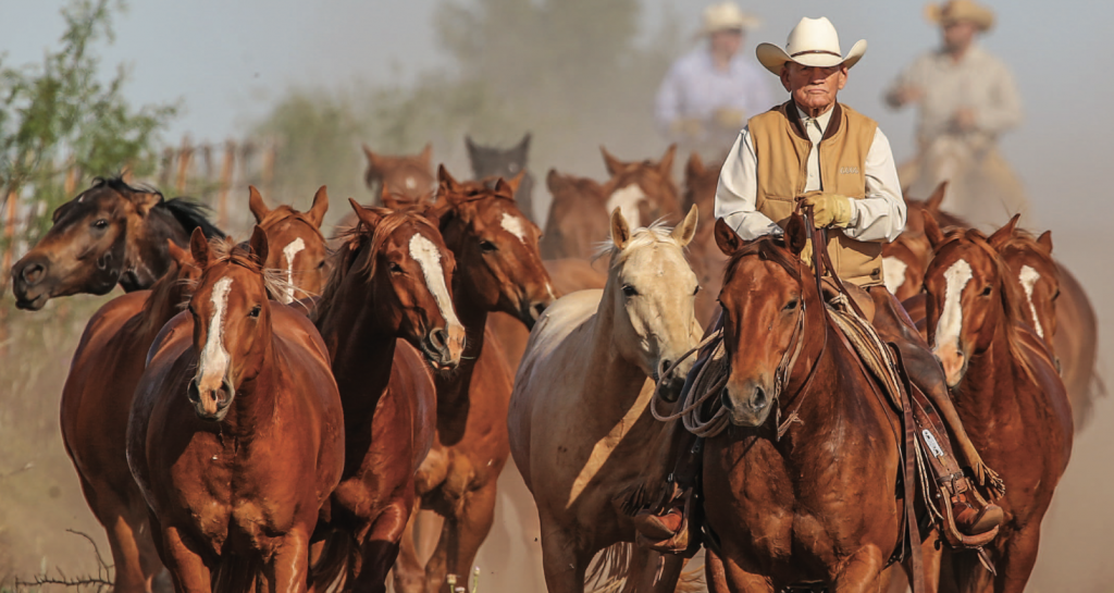 Boots O' Neal: Living Lone Star Legend - Cowboys and Indians Magazine