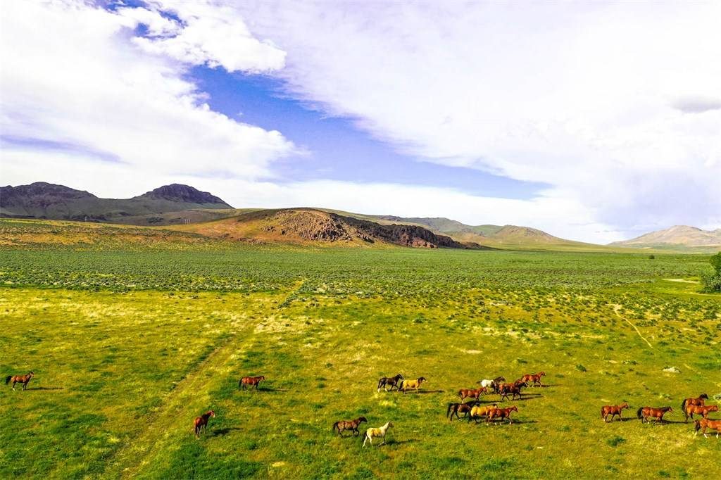 Hot Property: Historic Cattle Ranch in Northern Nevada