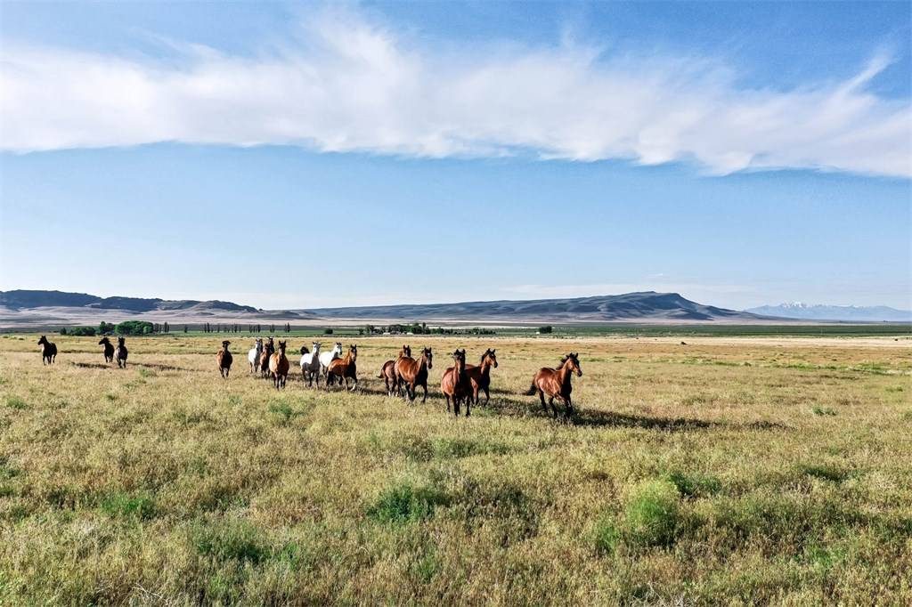 Hot Property: Historic Cattle Ranch in Northern Nevada