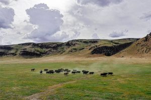 Hot Property: Historic Cattle Ranch in Northern Nevada