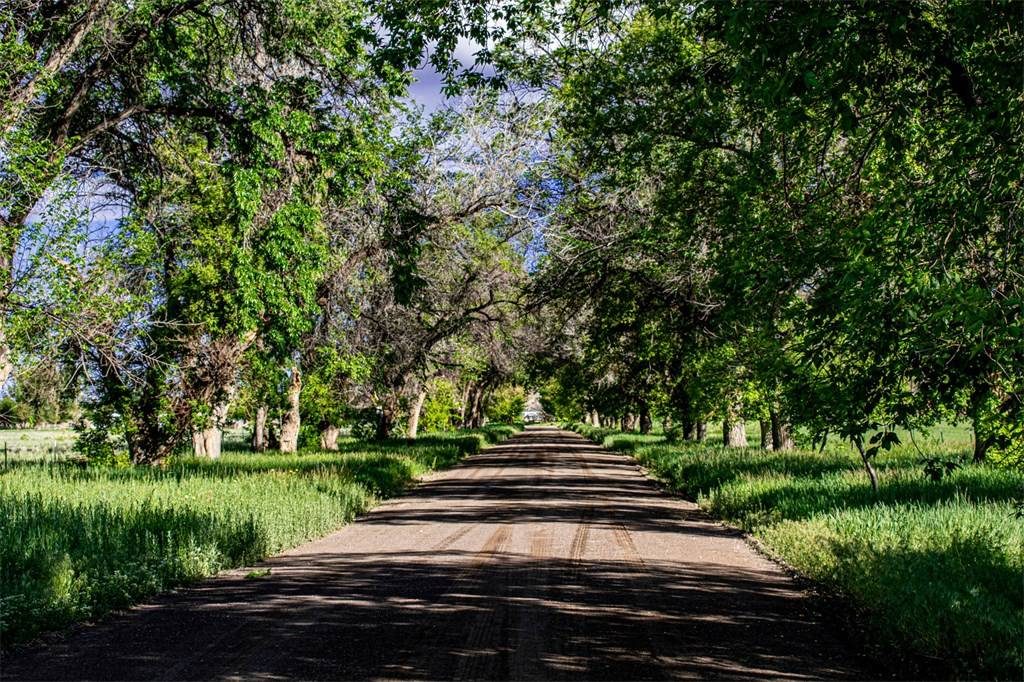 Hot Property: Historic Cattle Ranch in Northern Nevada