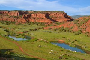 Red Reflet ranch