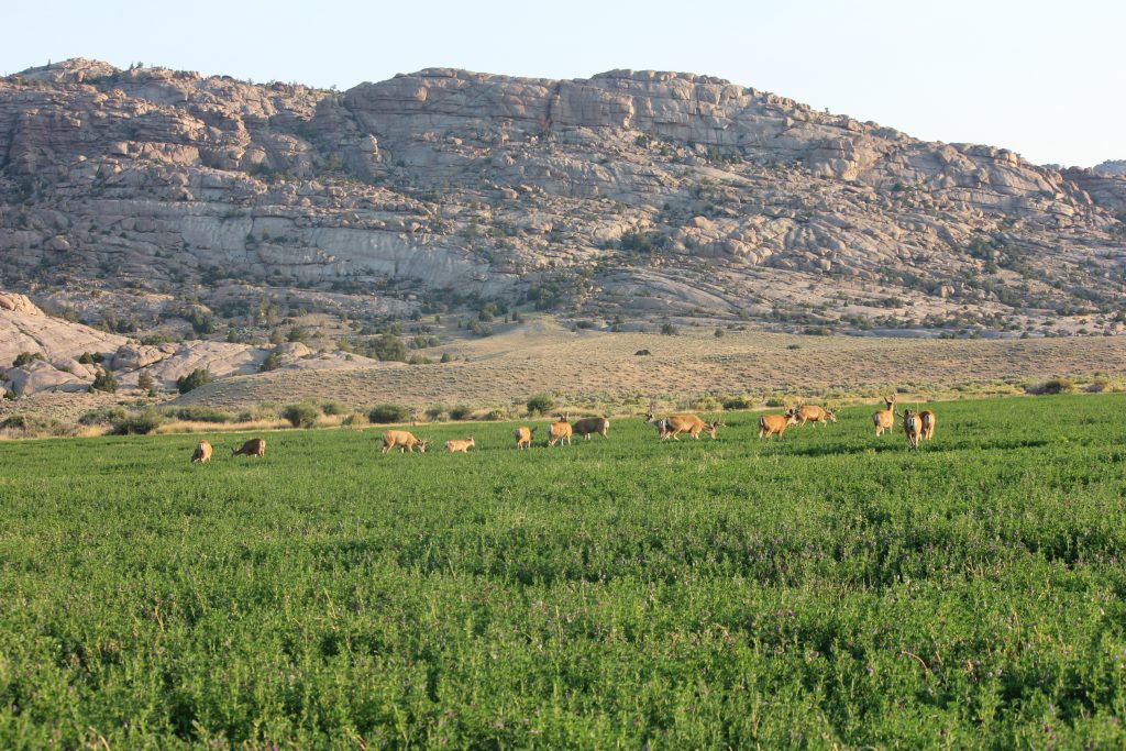 Hot Property Split Rock Ranch C&I Magazine