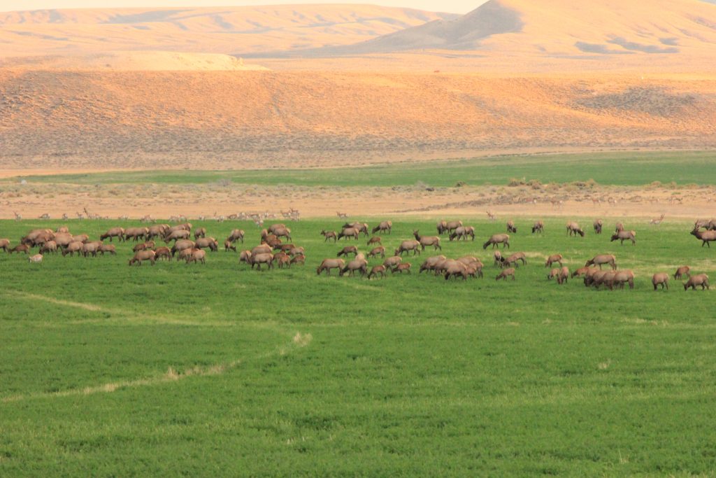 Hot Property Split Rock Ranch C&I Magazine