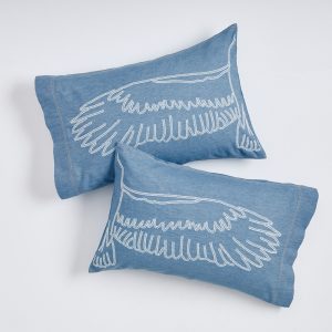 Wrangler/Pottery Barn