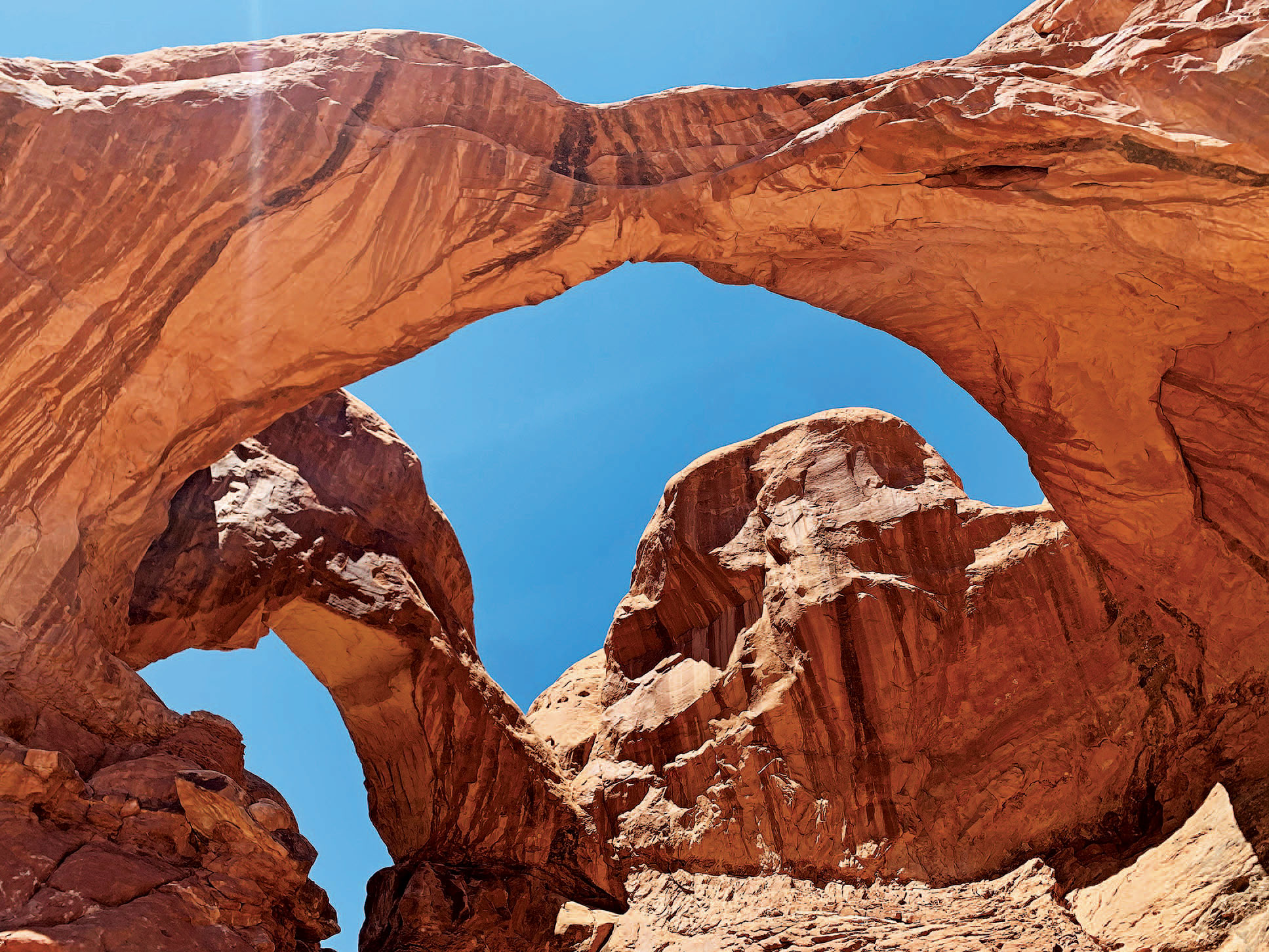 what is the difference between profile view and twisted perspective in arh