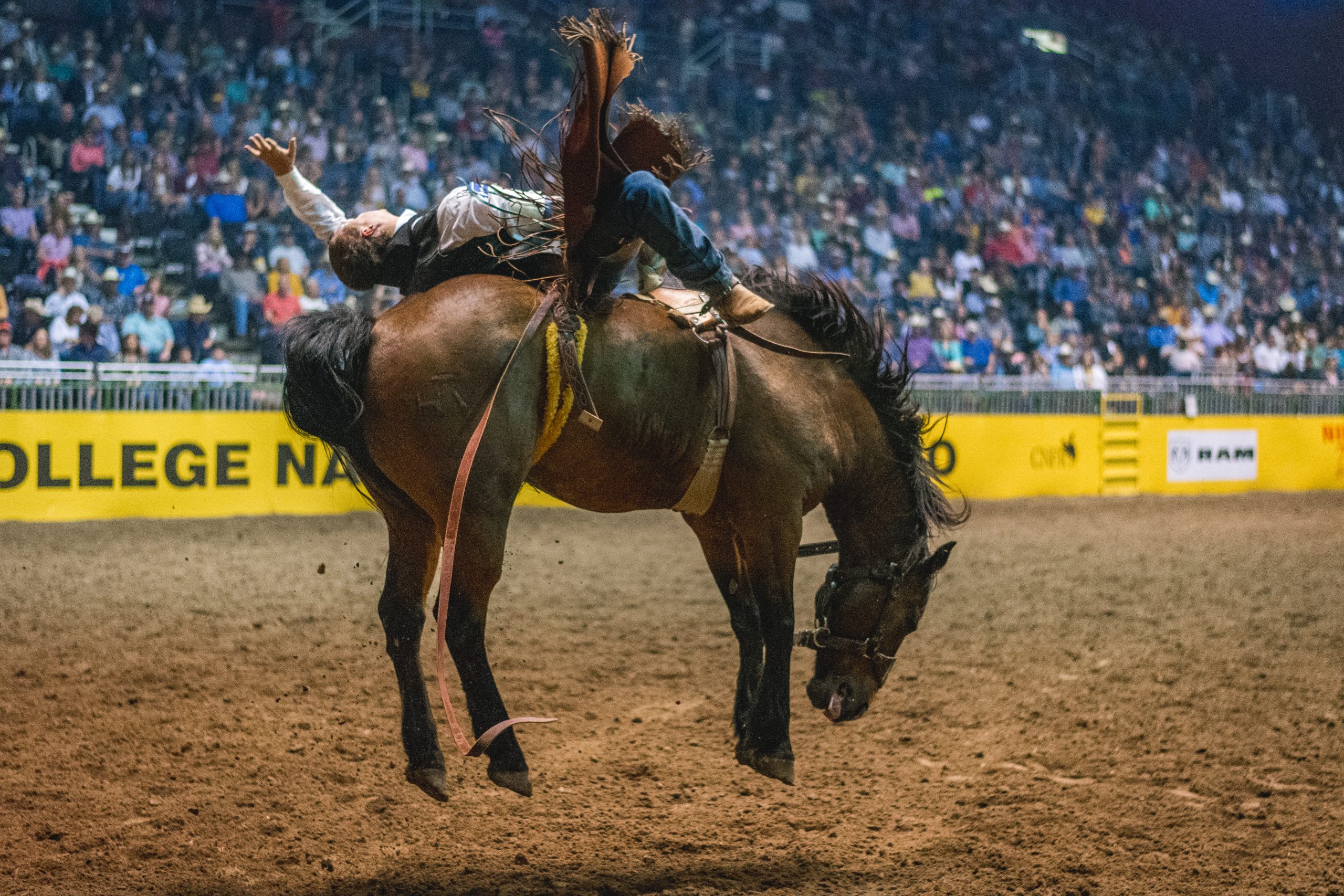 College National Finals Rodeo The Ultimate Guide C&I Magazine