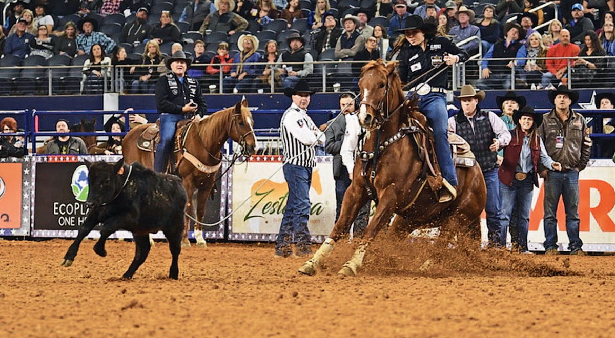 The American Rodeo