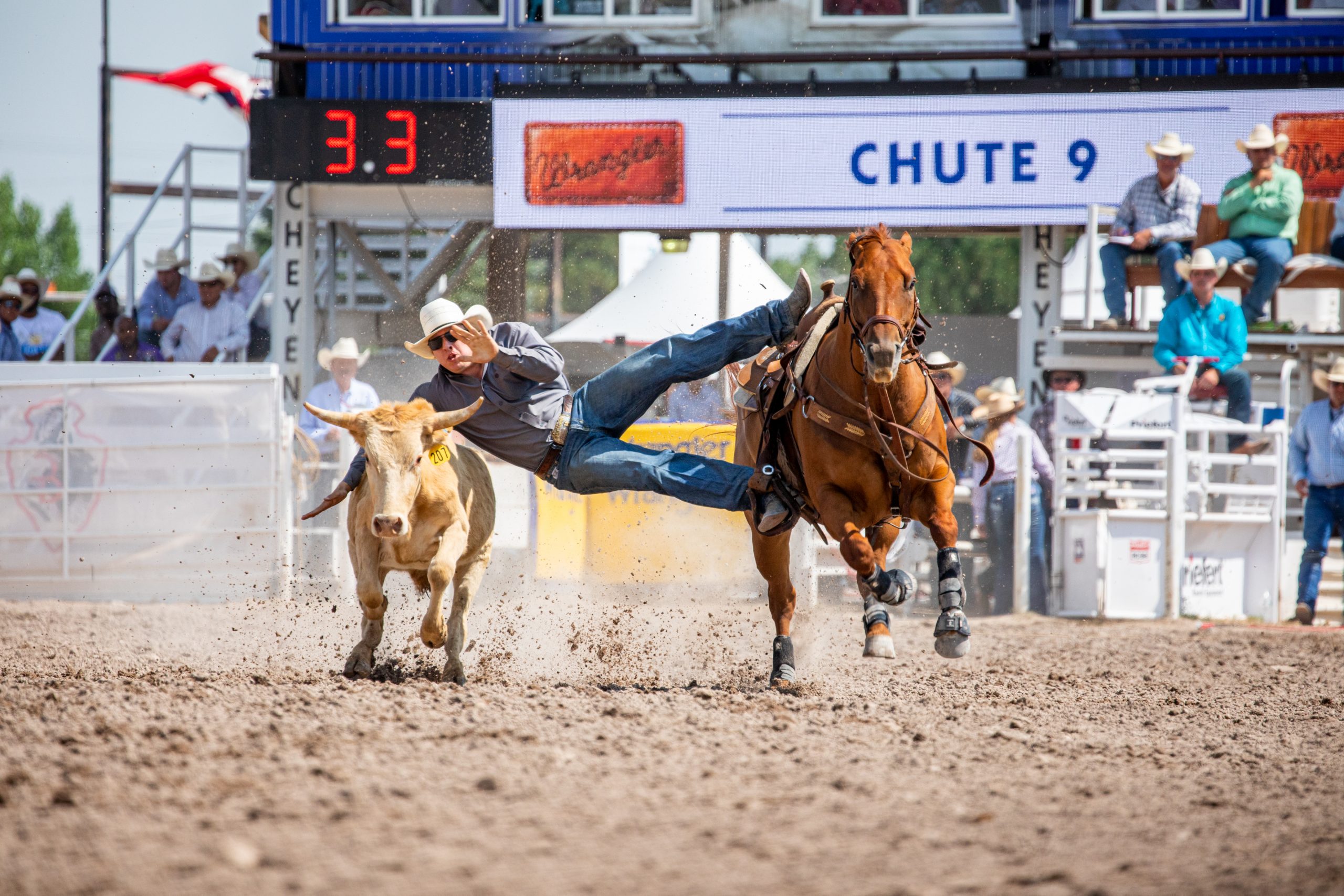 Summer's Hottest Rodeos
