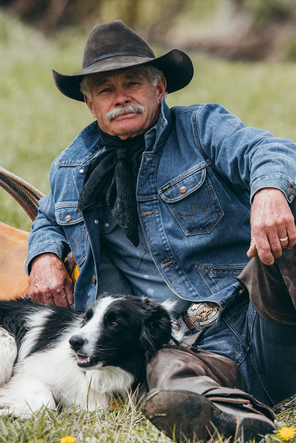 Book Review Think Like A Horse By Grant Golliher