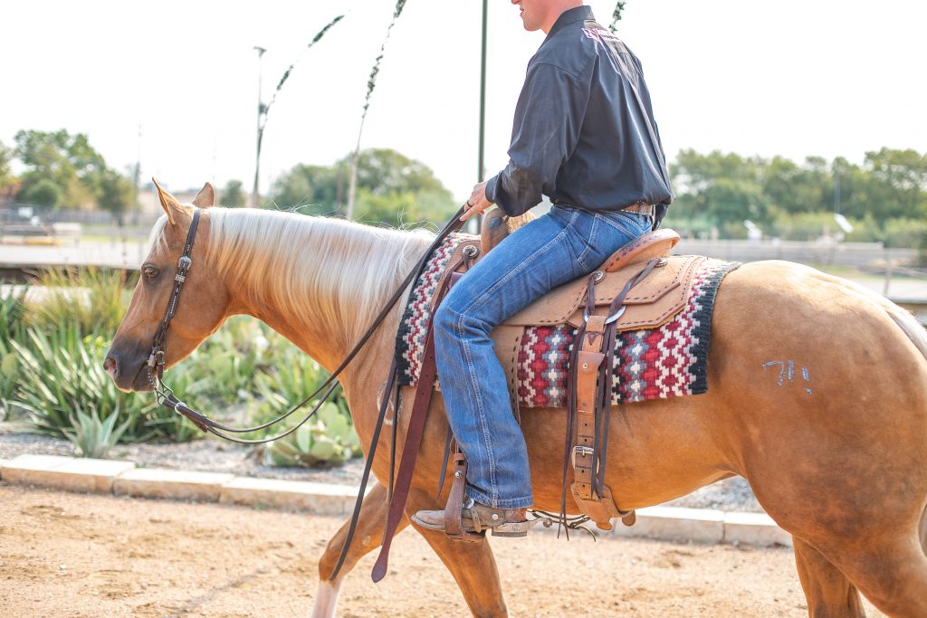 Best of Texas Premier Horse Sale Two Steppin' Straight to Texas