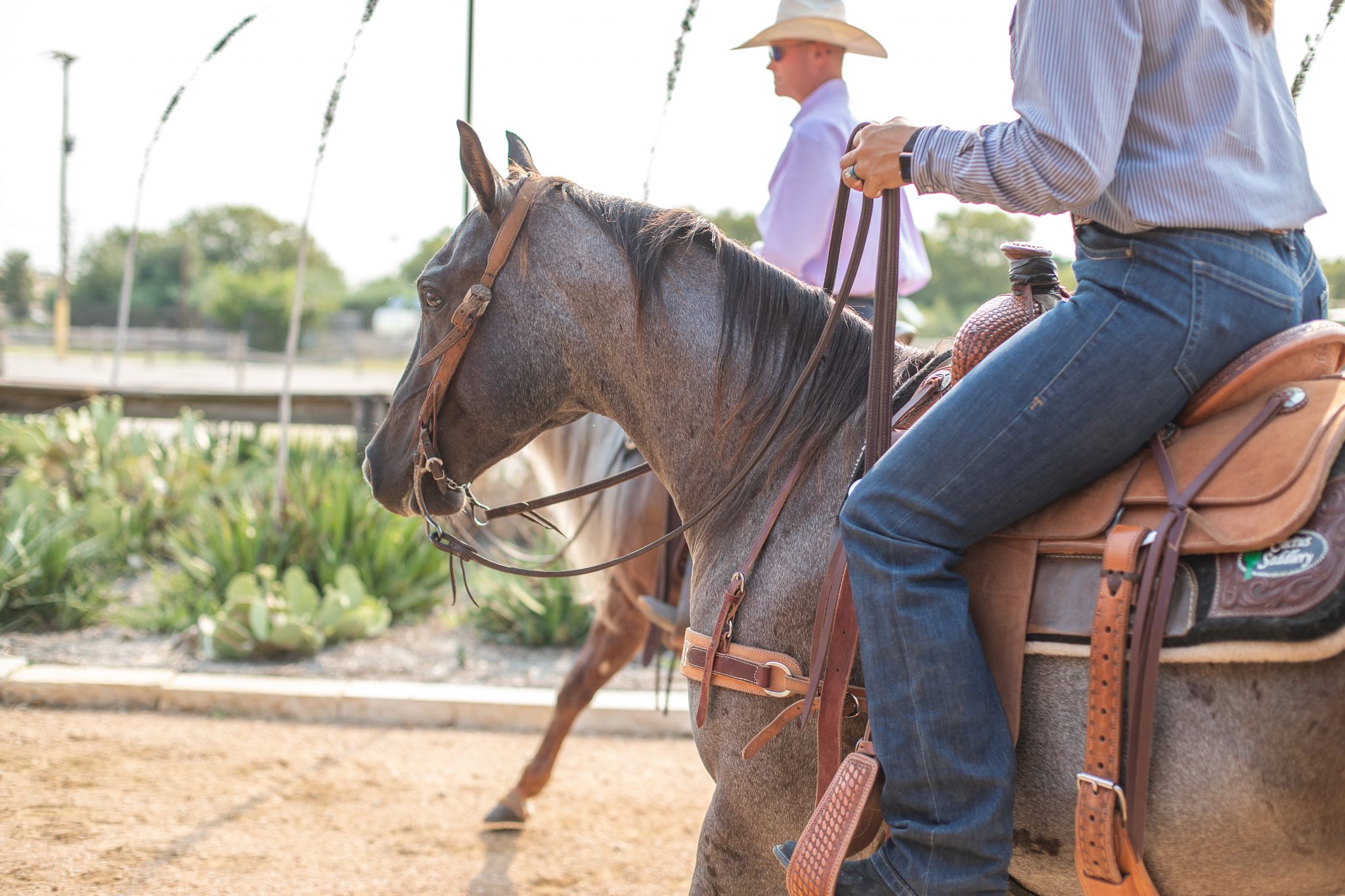 Best of Texas Premier Horse Sale Two Steppin' Straight to Texas