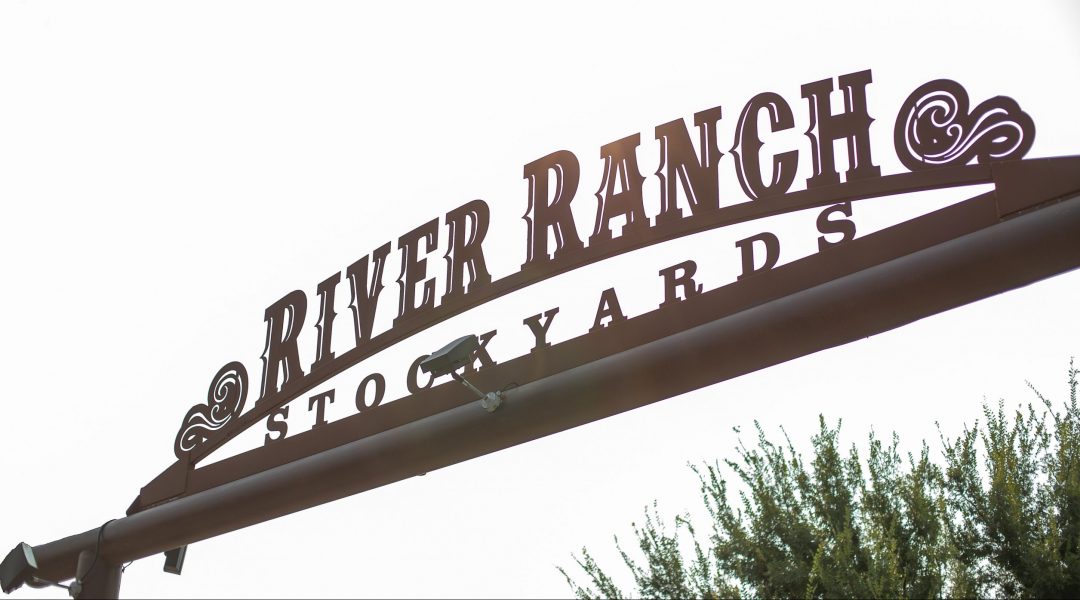 Best of Texas Premier Horse Sale Two Steppin' Straight to Texas