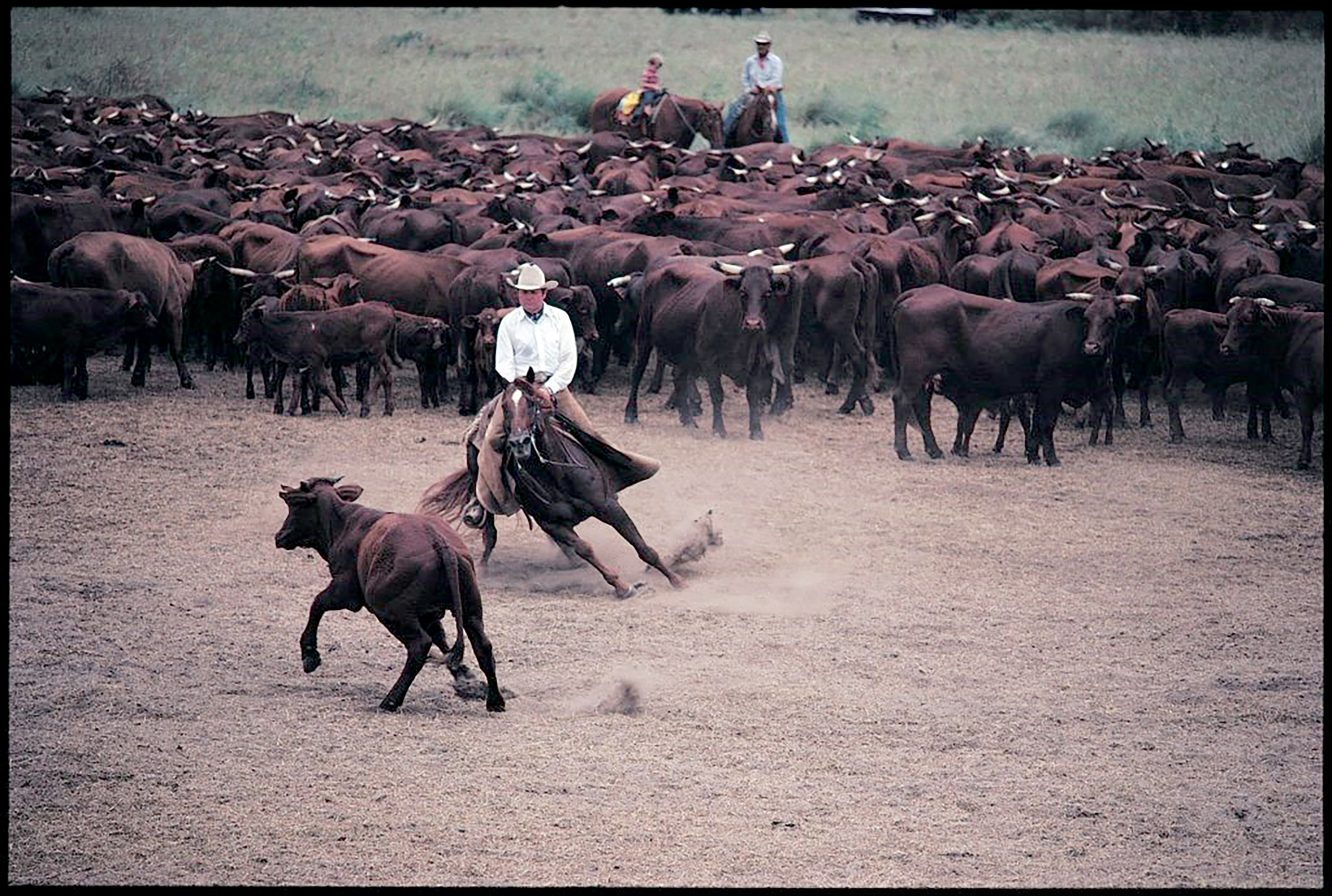 Cutting Horse Legend  Buster Welch (1928–2022) - Ranching Heritage  Association