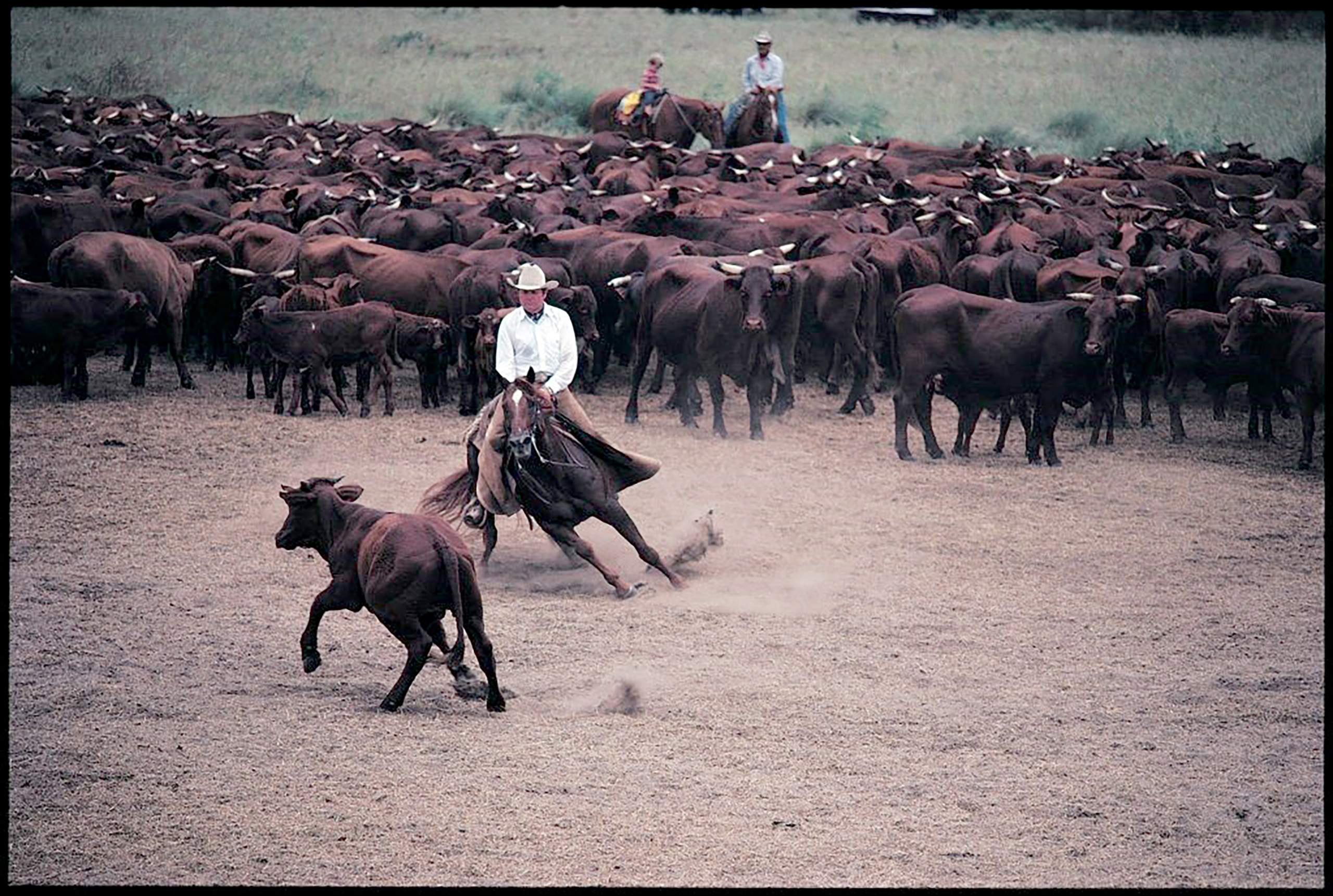 Officials Pull Curtain on Buster Welch Statue in Fort Worth - Quarter Horse  News