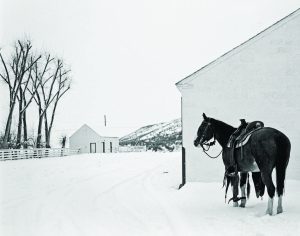 Remembering Kurt Markus: Cowboy Photographer