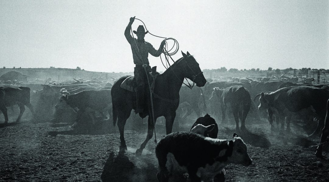 Dreaming Georgia photographs　Kurt Marku Dreaming Georgia. Photographs and text by Kurt Markus