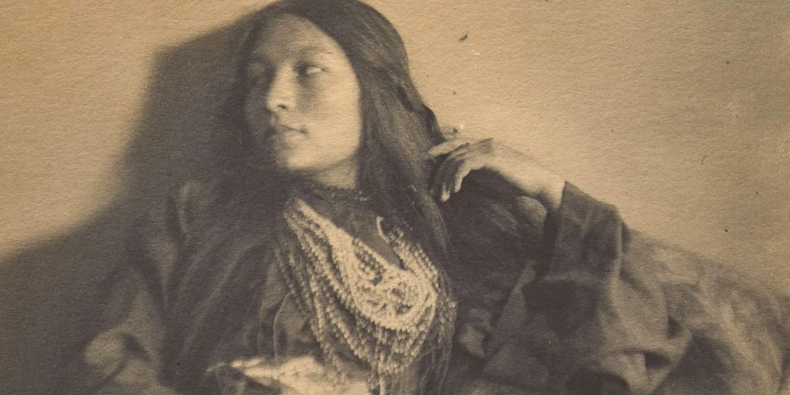The Flight Of Red Bird The Life And Work Of Zitkala-Ša image