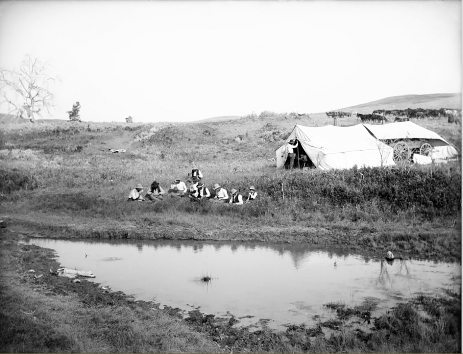 Riding For The Brand The Ballad Of Bob Fudge