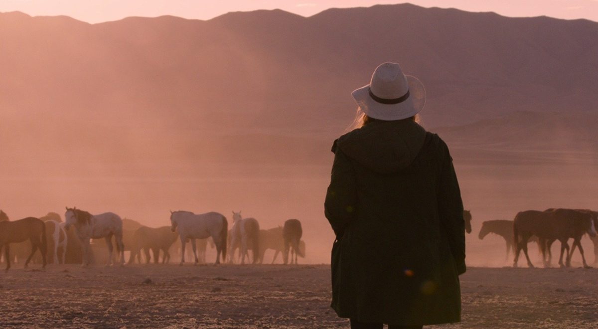 "Wild Beauty: Mustang Beauty of the West"