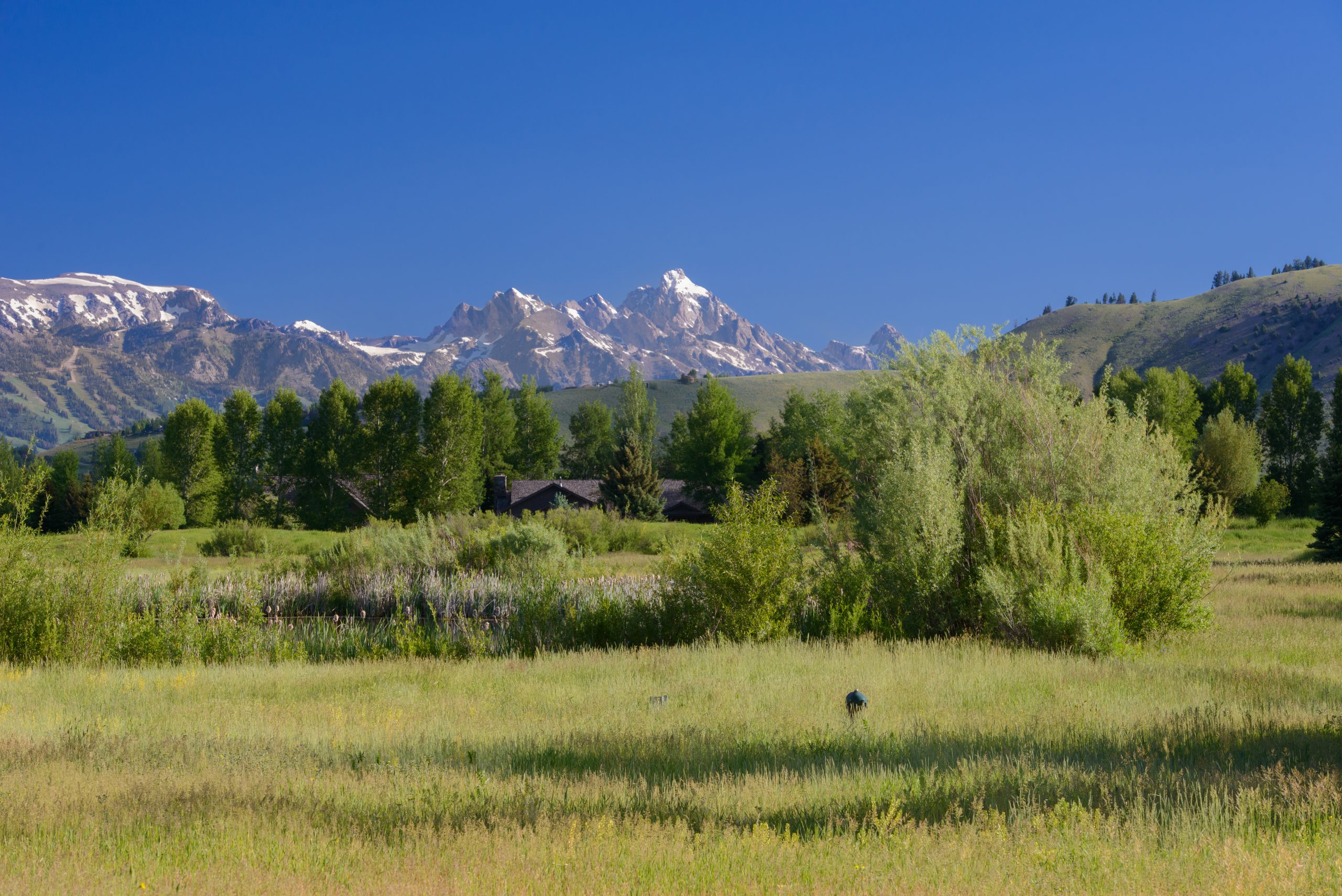 Zillow Jackson Hole