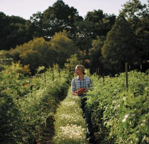Elizabeth Poett walks through her vineyard.