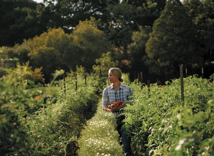 Elizabeth Poett walks through her vineyard.