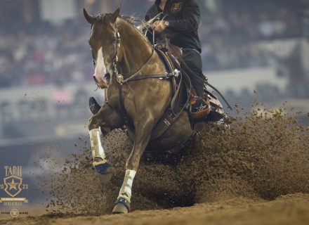 Andrea Fappani competing in reining segment of the 2023 American Performance Horseman.