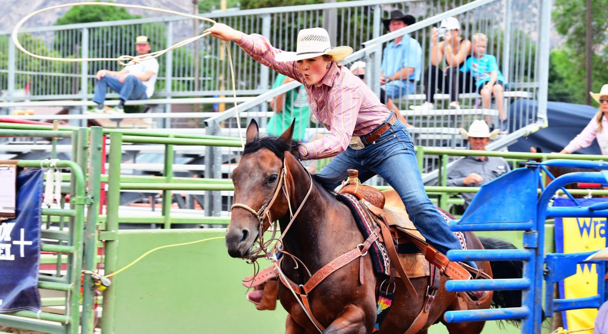 Breakaway roper Addy Hill bursts out of the chute with her horse and lasso in hand, ready to lasso a calf.