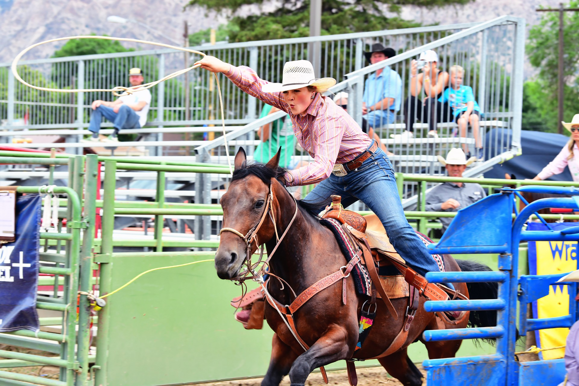 Breakaway roper Addy Hill bursts out of the chute with her horse and lasso in hand, ready to lasso a calf.