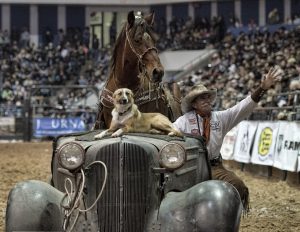 A cowboy rides a vintage car with his dog and horse riding along with him at an Amarillo rodeo.