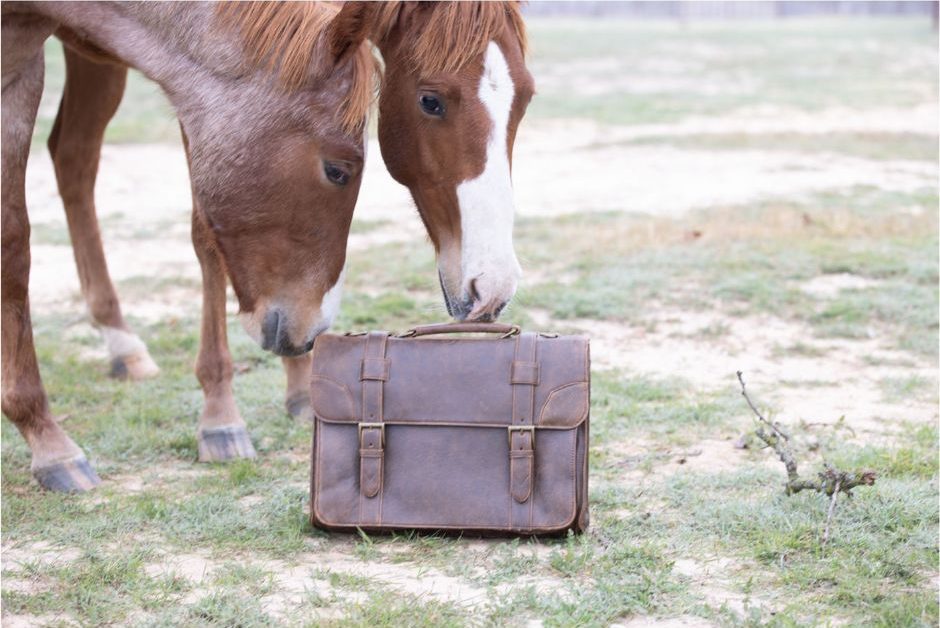 Scully briefcase outlet