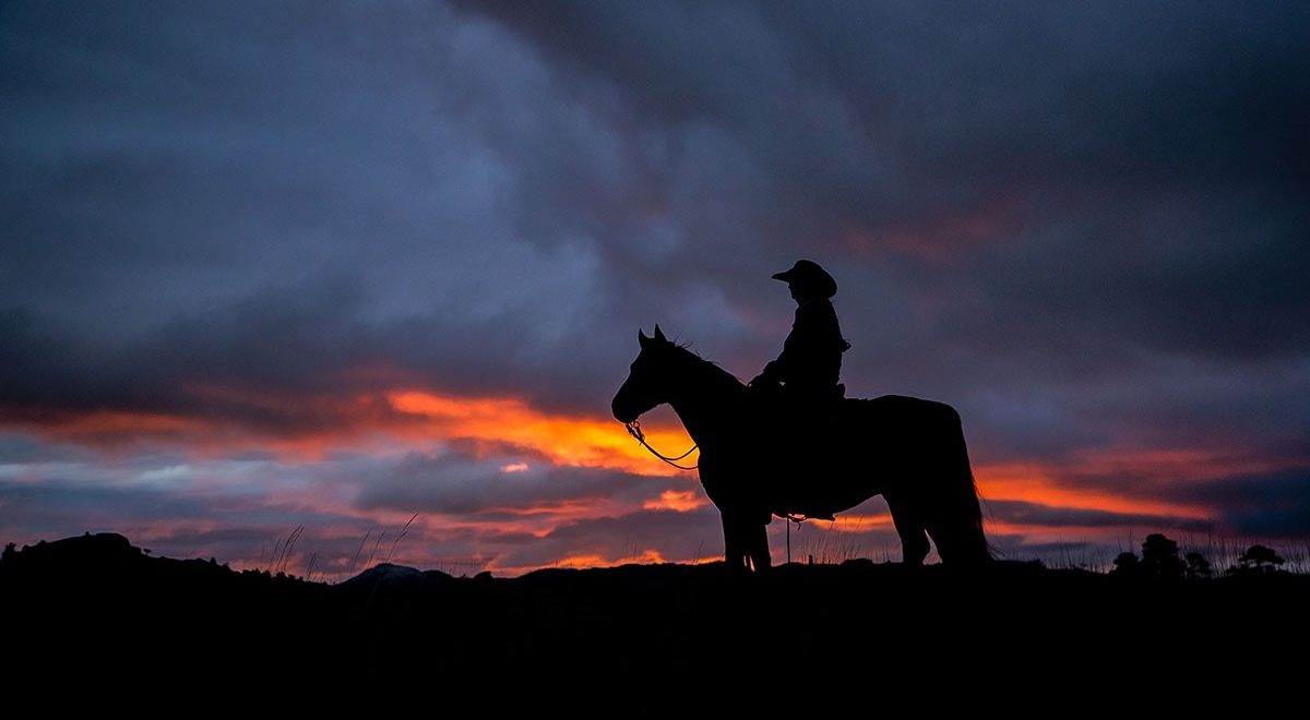 The silhouette of a cowboy on a Diamond-McNabb ranch horse can be seen against a desert sunset with vibrant blues, reds, and oranges.
