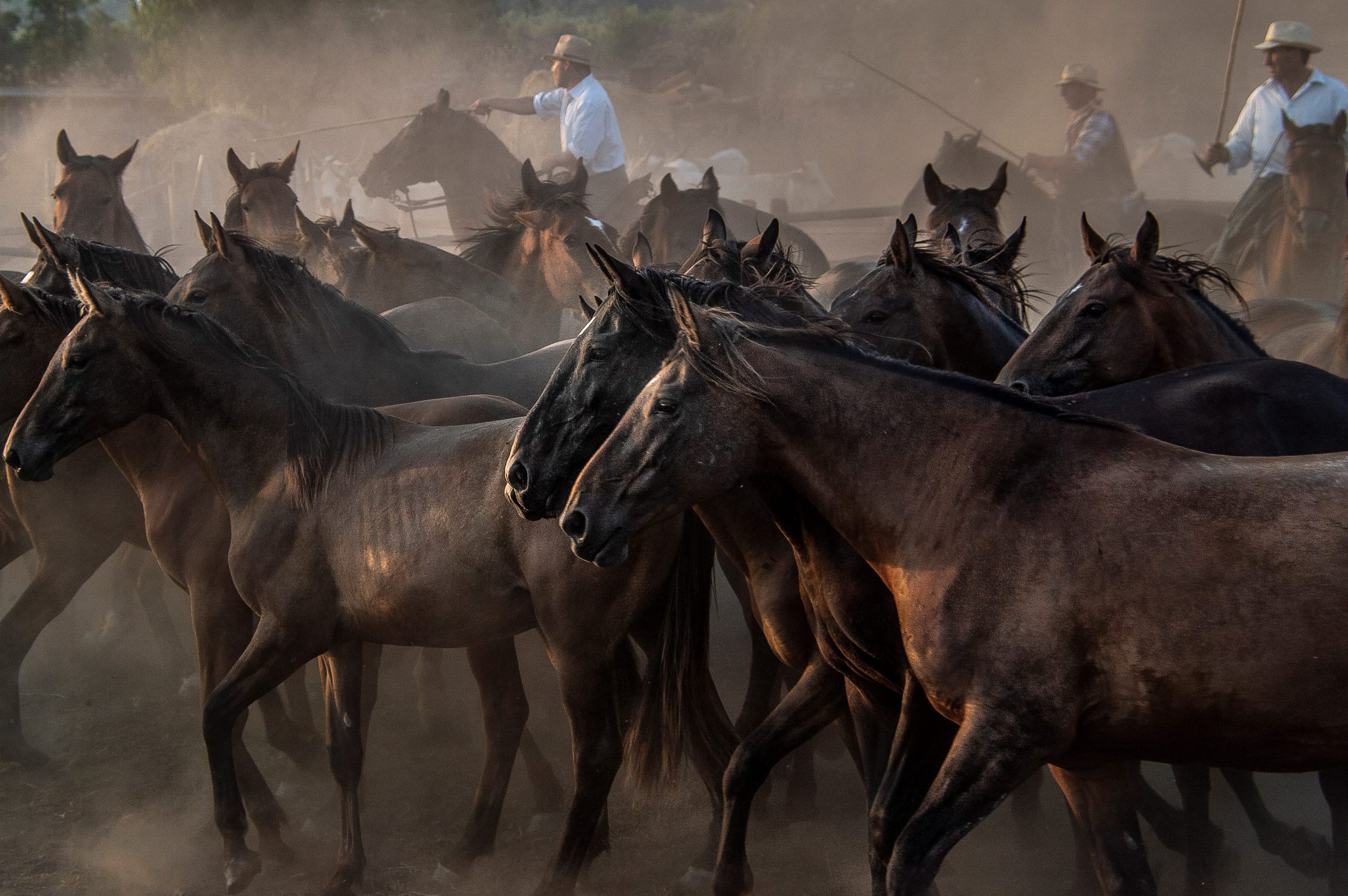 Una nuova mostra fotografica ripercorre la storia dei Cavalieri Butteri d'Italia