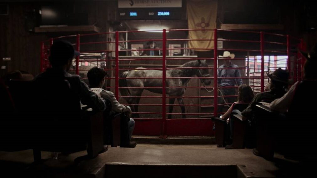 "Cowboy Cartel"