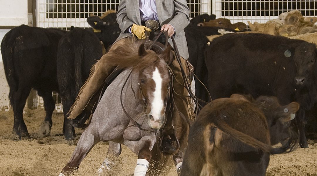 Buster Welch Talks About: Cattle Settling 