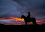 The silhouette of a cowboy on a Diamond-McNabb ranch horse can be seen against a desert sunset with vibrant blues, reds, and oranges.
